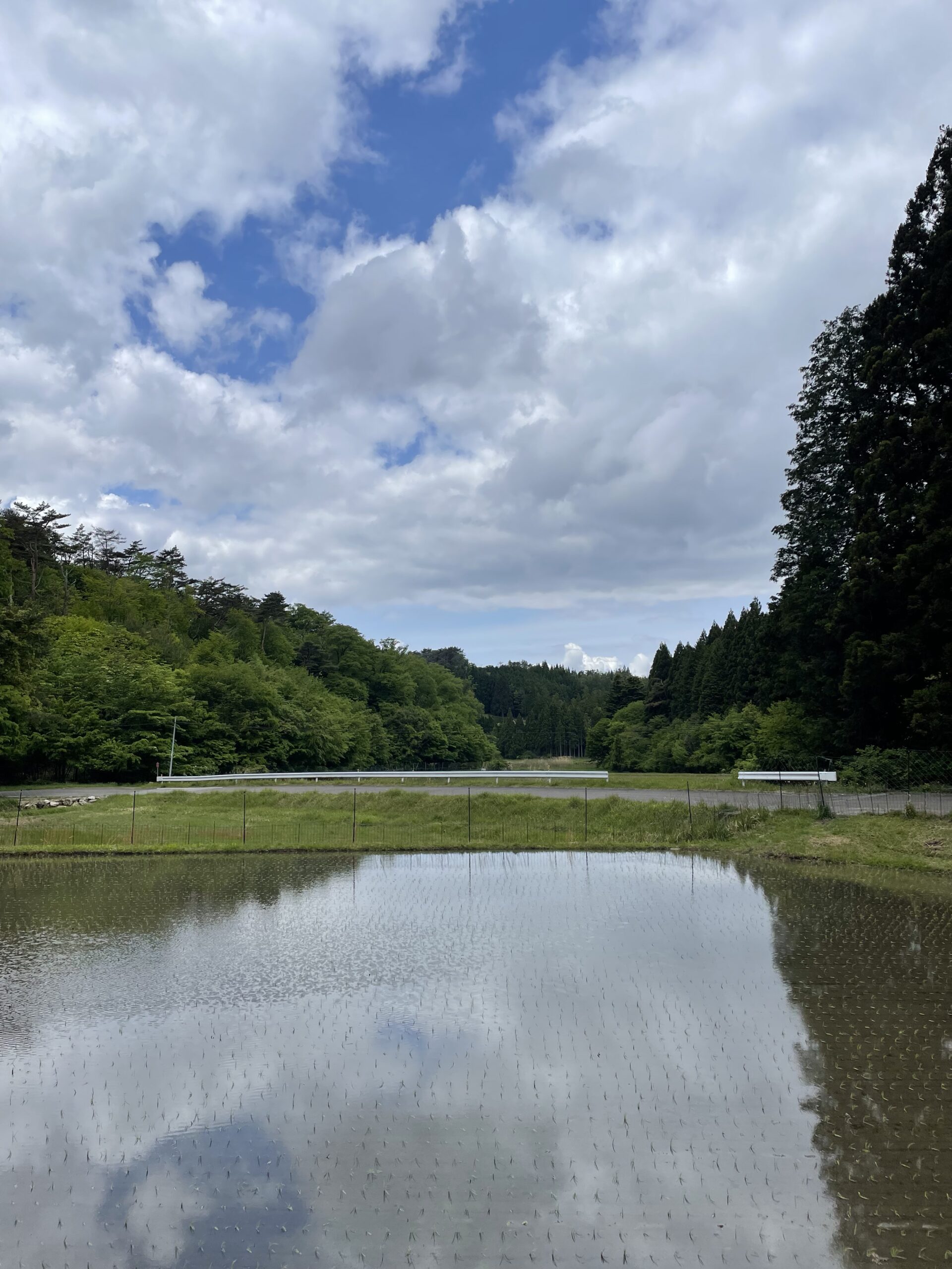 田植え日記🌾　ついに今年の田植えが完了しました！