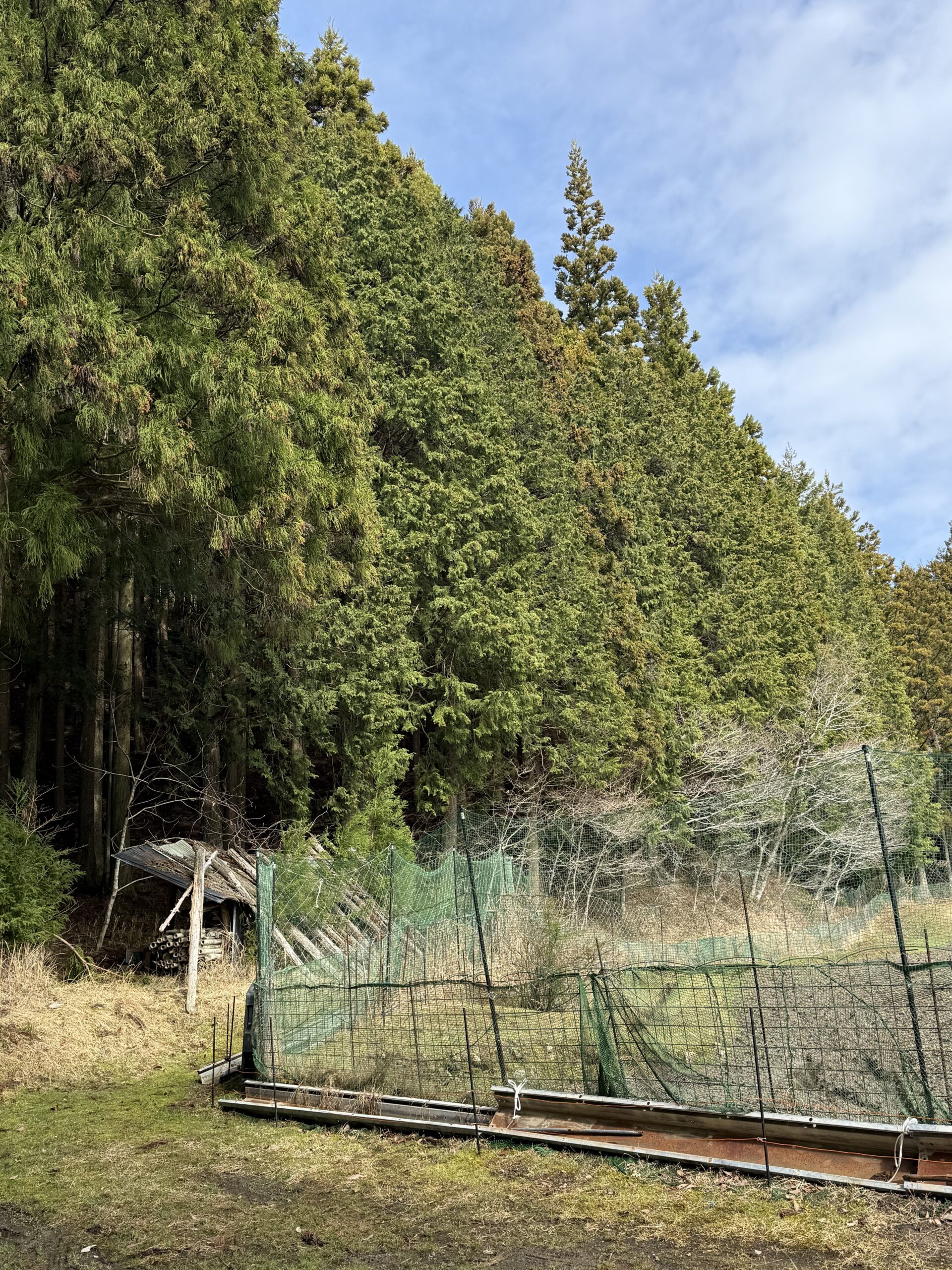 そろそろ地獄のような時期がやってくる⁉・・・そう！花粉症の時期が接近しています！