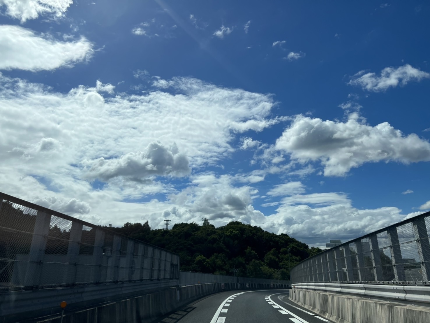 　　　　　　社長の趣味！！！　　　　　　　～～～～～帰り道での出会いと感動～～～～～