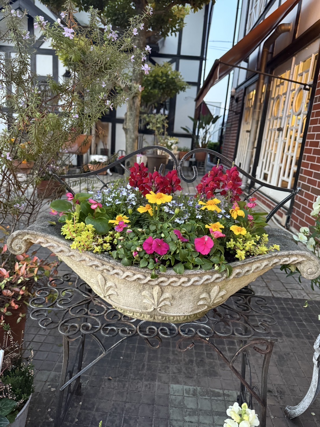 ~日に照らされる花と色鮮やかな花々~ {綺麗な花で心癒される?}