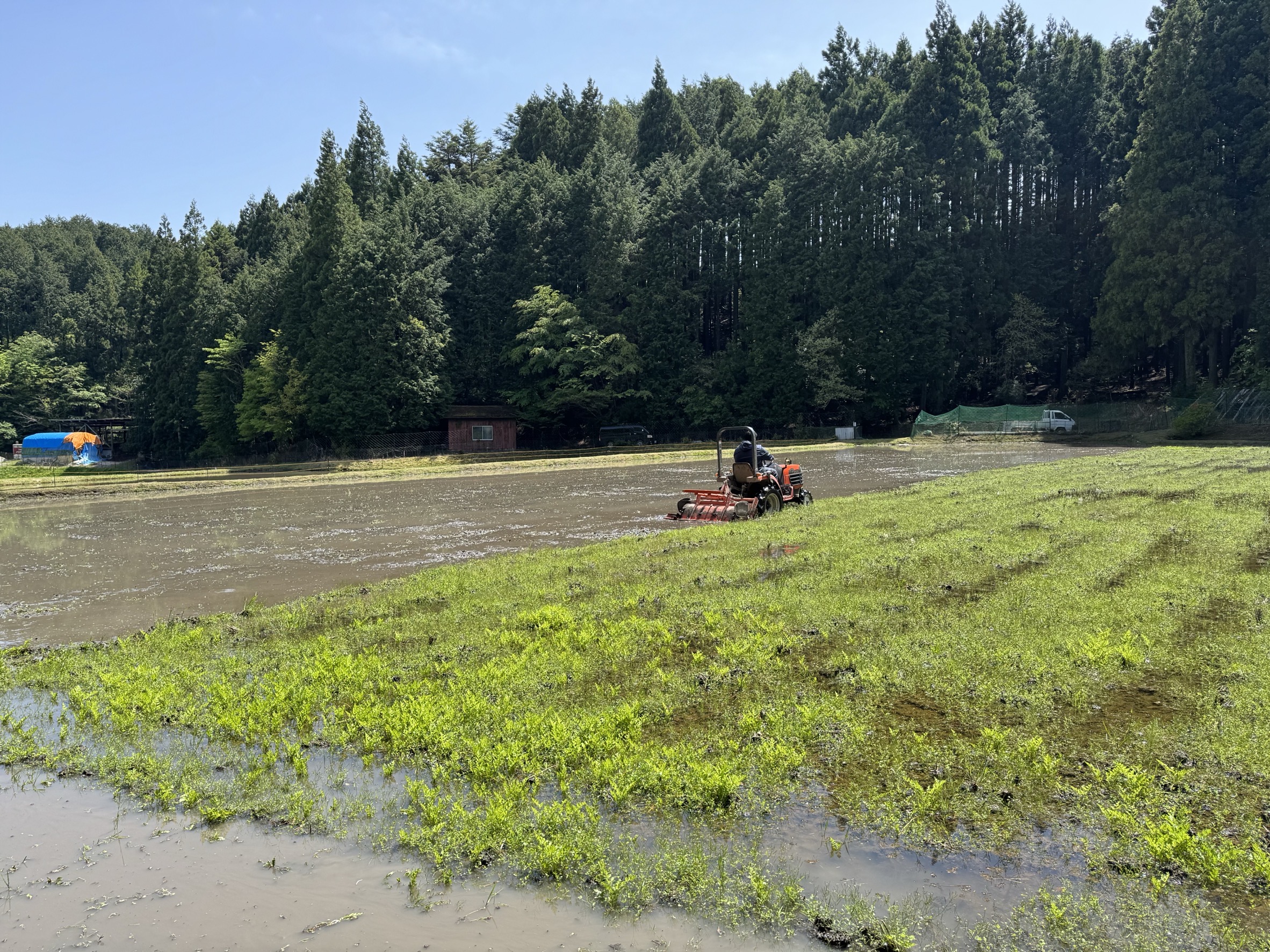 ~田植えの準備も最終局面に差し掛かってきました!!~(笑)