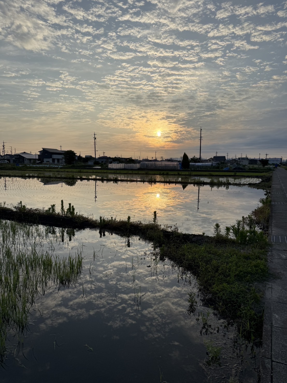 水面の反射が美しい⁉ ~雲の間から顔を覗かせる太陽~!!