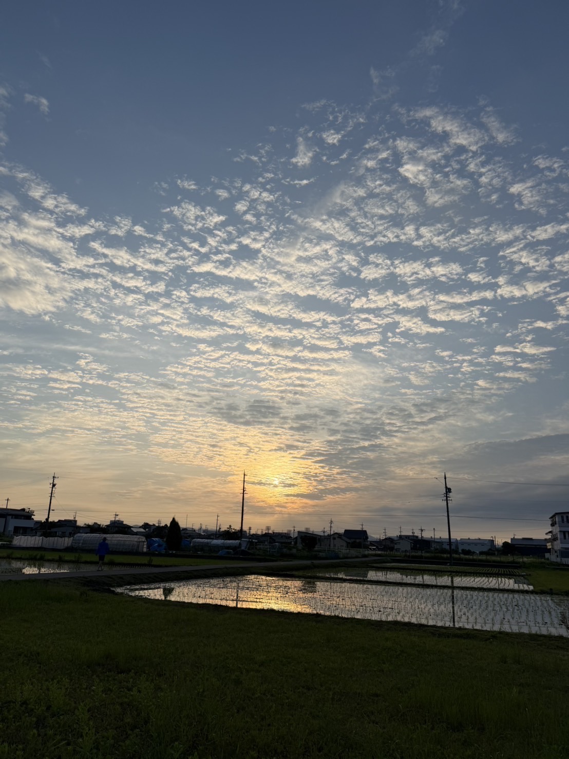 水面の反射が美しい⁉ ~雲の間から顔を覗かせる太陽~!!