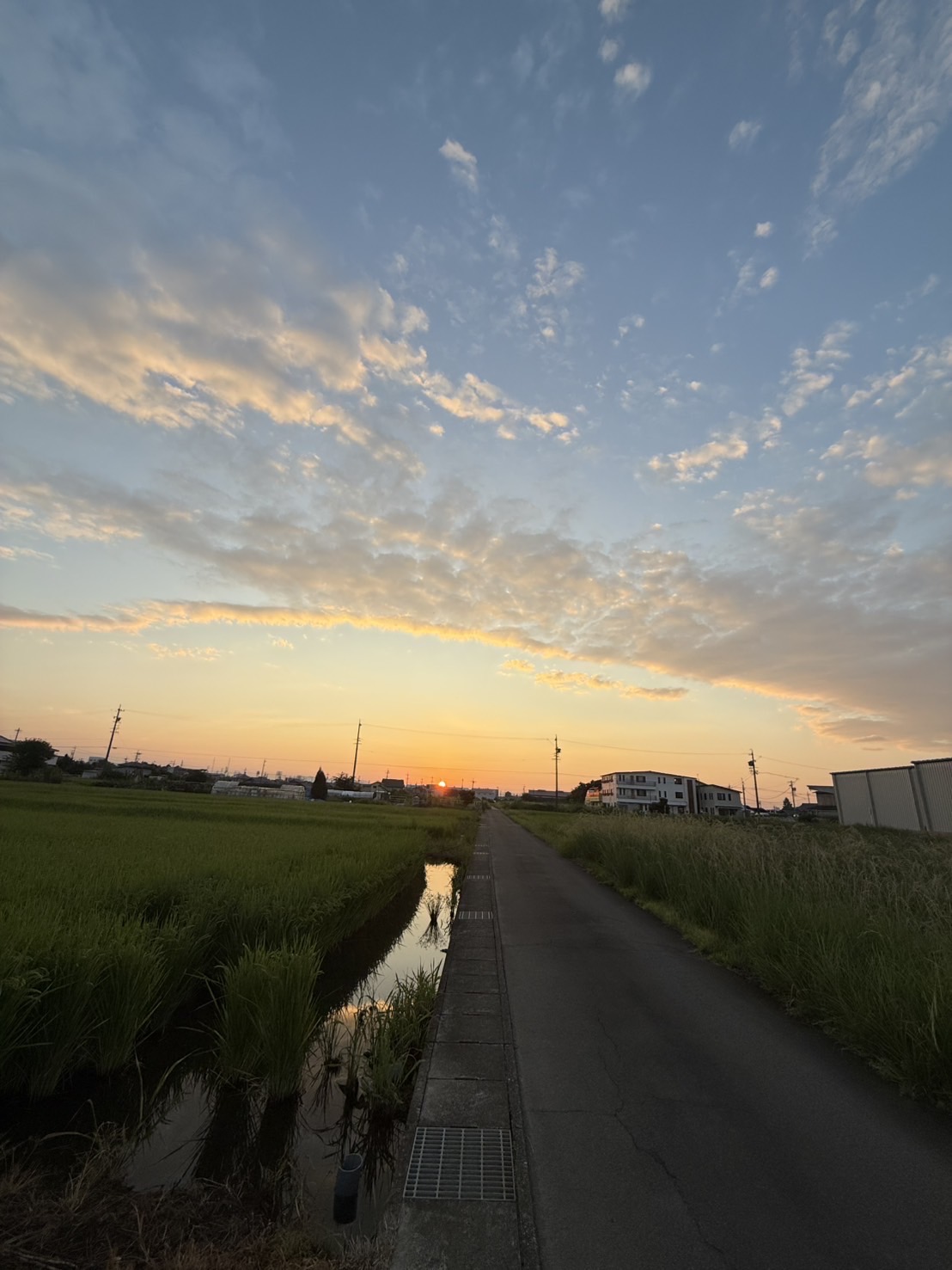 　　　　　　　～久しぶりの風景投稿～　　　　　　　　　　　[日に照らされ、夕日に向かっている雲]