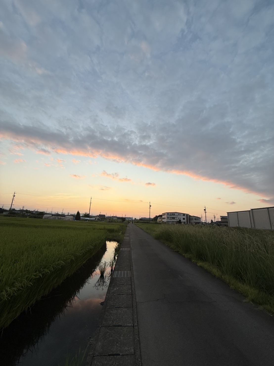 　　　　　　　～久しぶりの風景投稿～　　　　　　　　　　　[日に照らされ、夕日に向かっている雲]