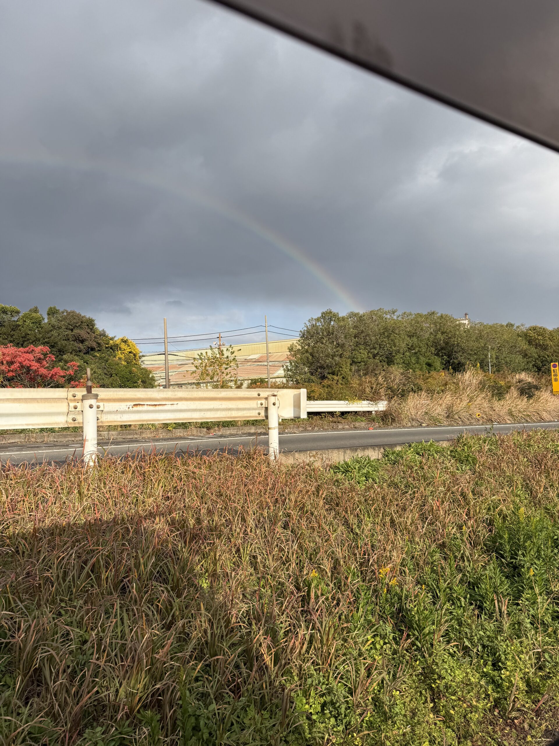 久しぶりに虹を見ました