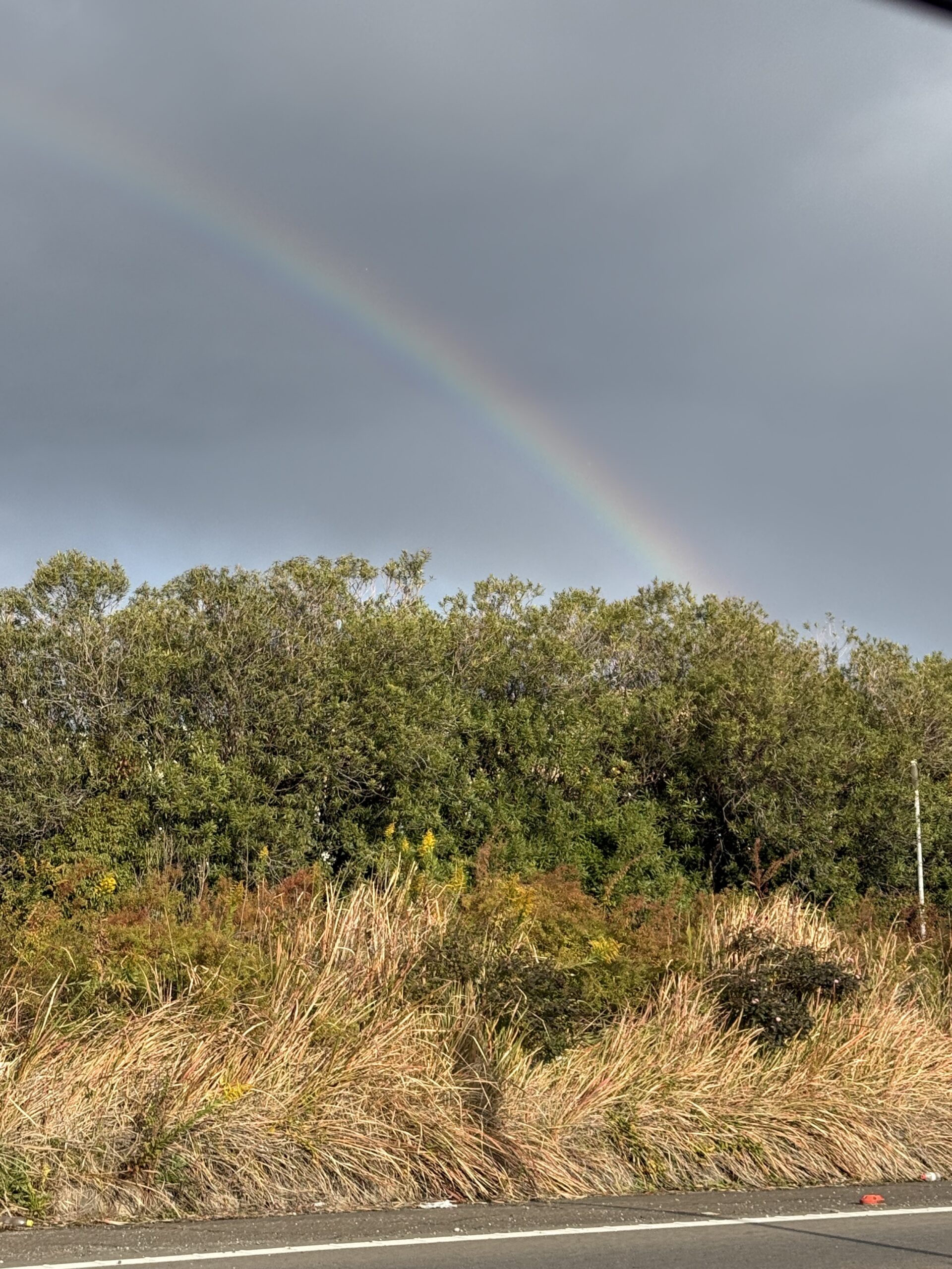 久しぶりに虹を見ました