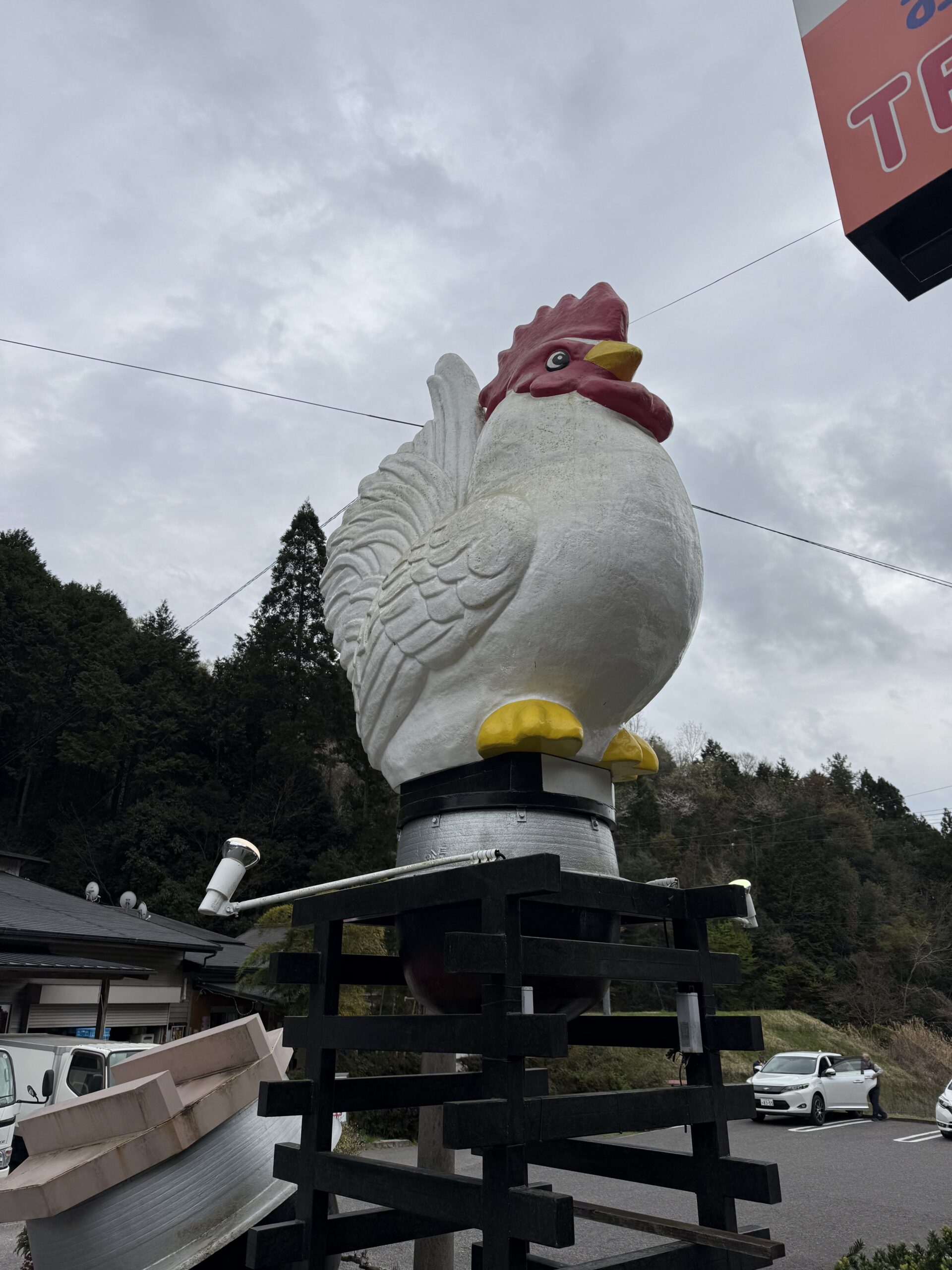 豊田市にある鶏肉定食屋（かしわ料理）　　「花の木」