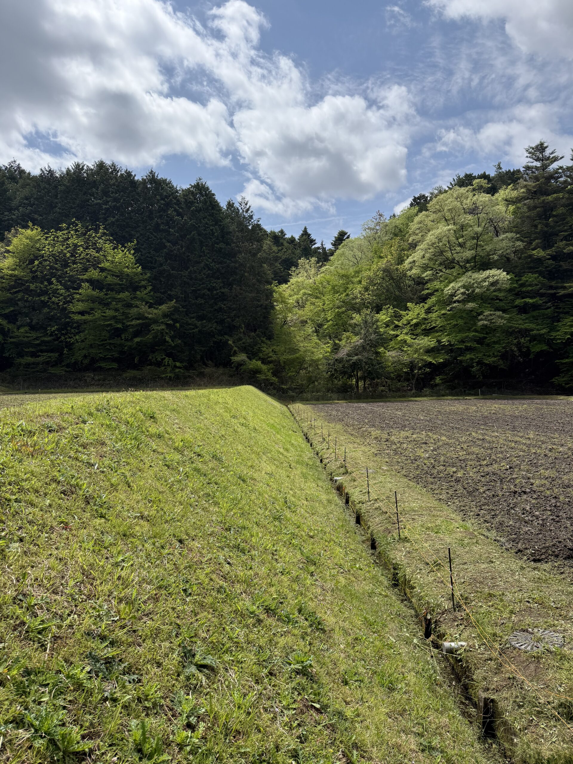 今年もいよいよ田植えが始まります！・・・ミネアサヒ米