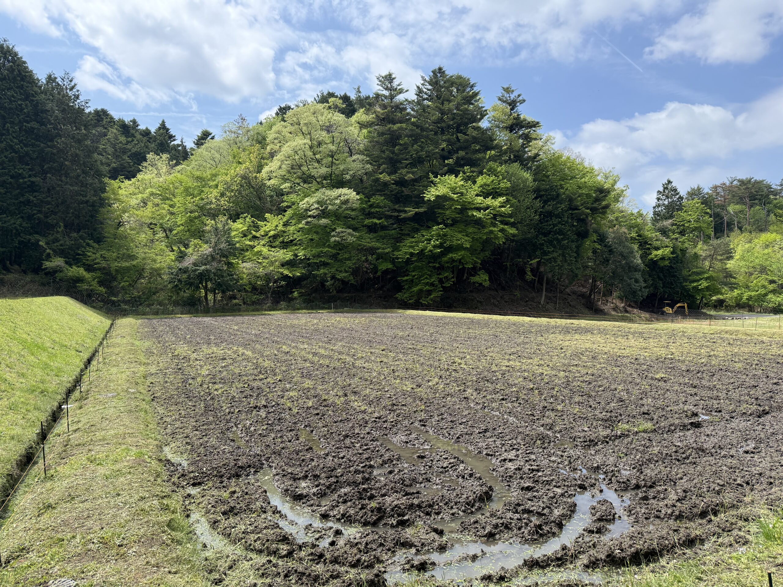 今年もいよいよ田植えが始まります！・・・ミネアサヒ米