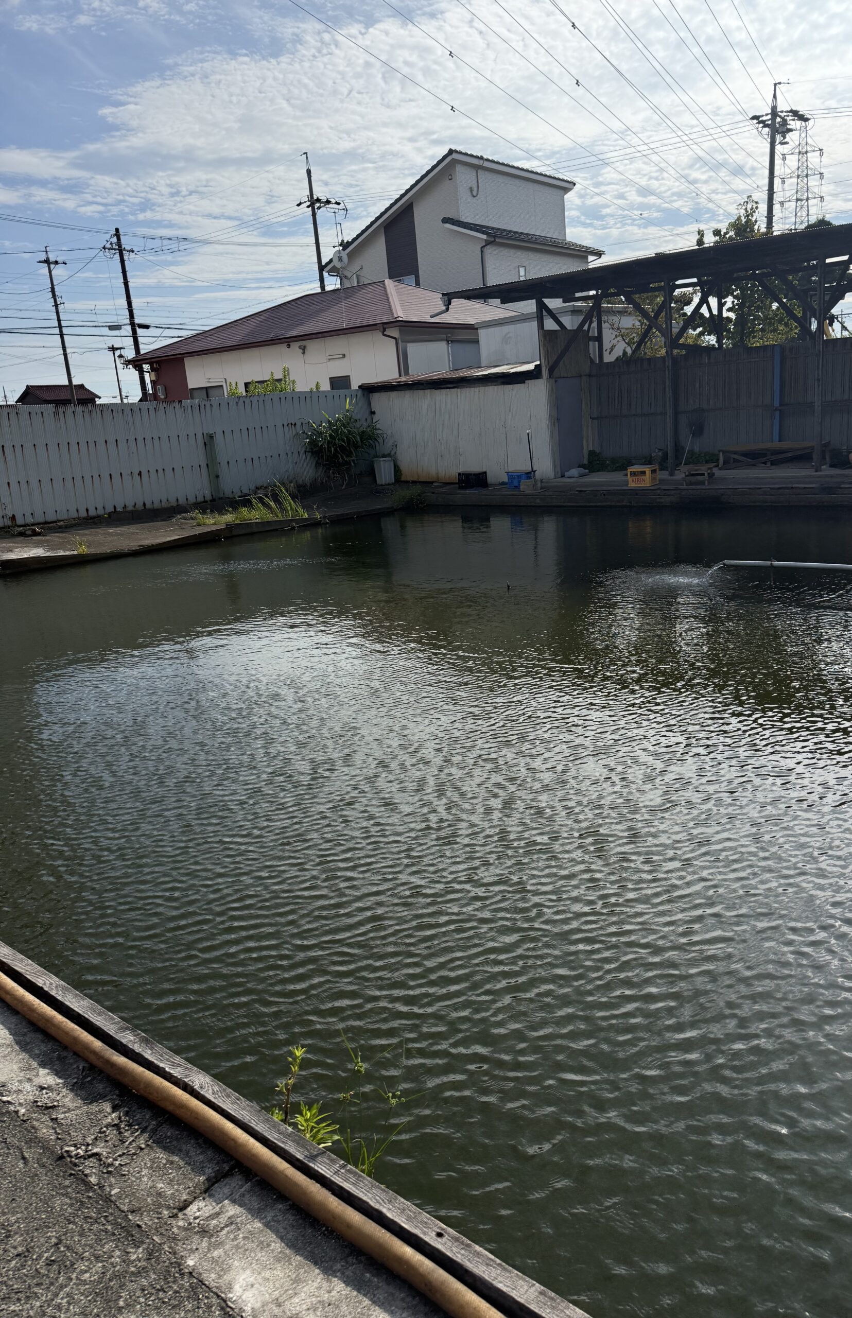 久しぶりに1日中遊びまくりました（笑）