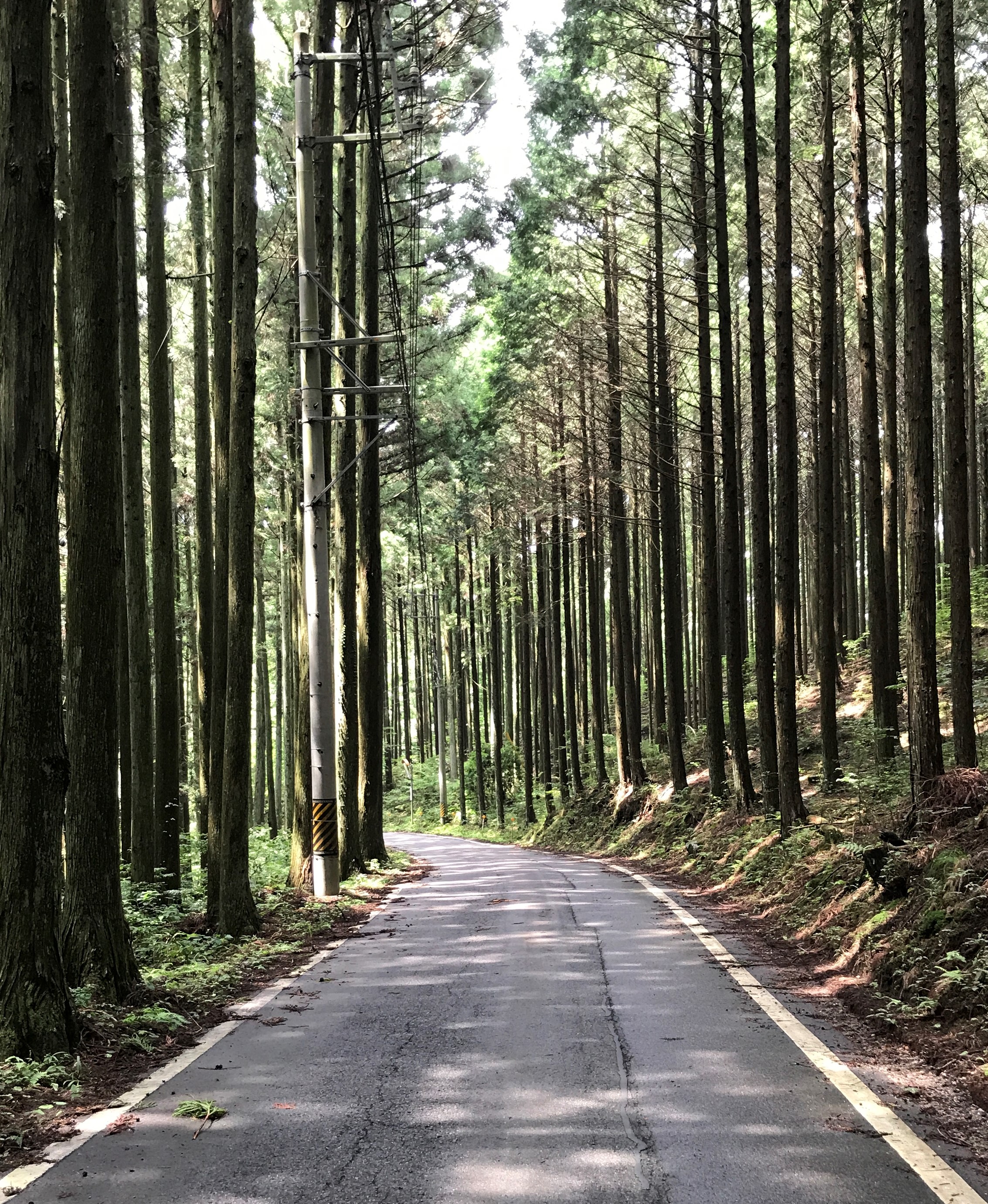 ～社長の趣味について～