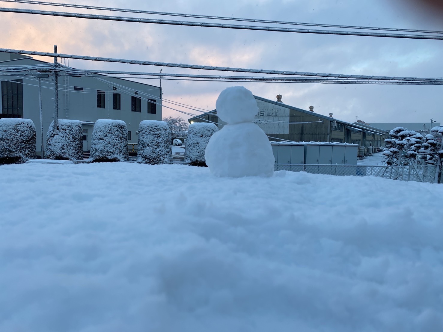 ～⛄ヒデ（雪）だるま誕生について⛄～