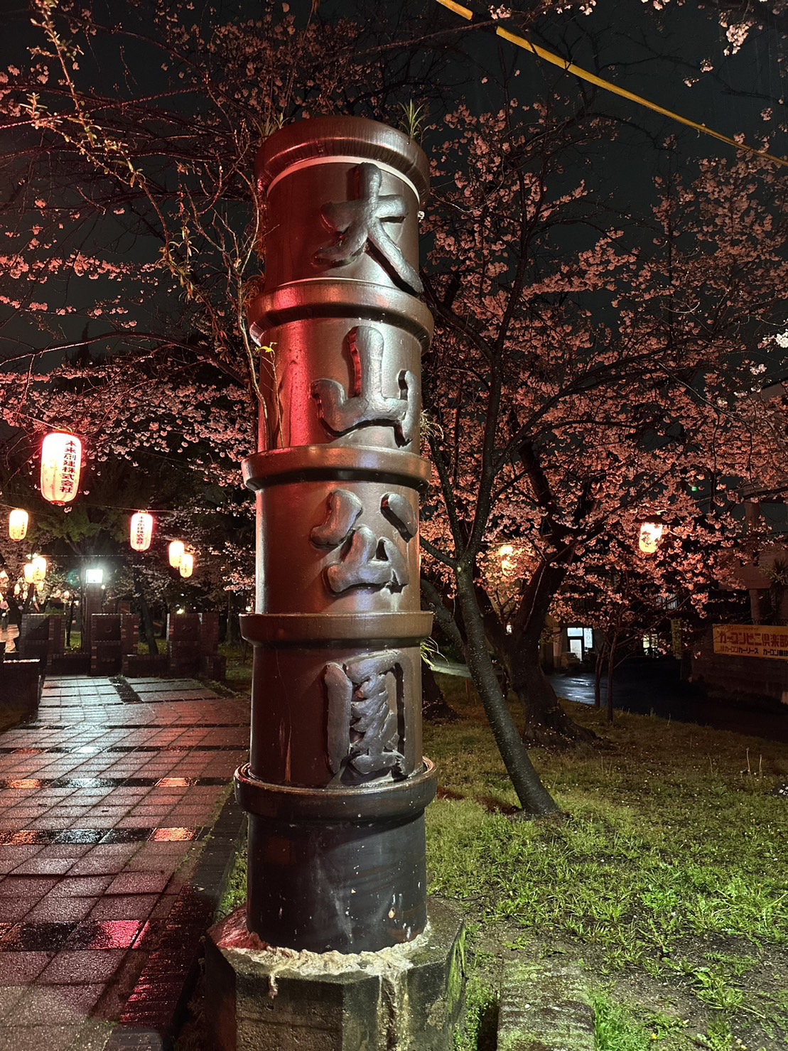 ～　千本桜の花見について　～