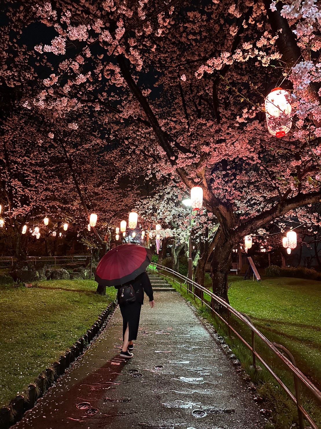 ～　千本桜の花見について　～