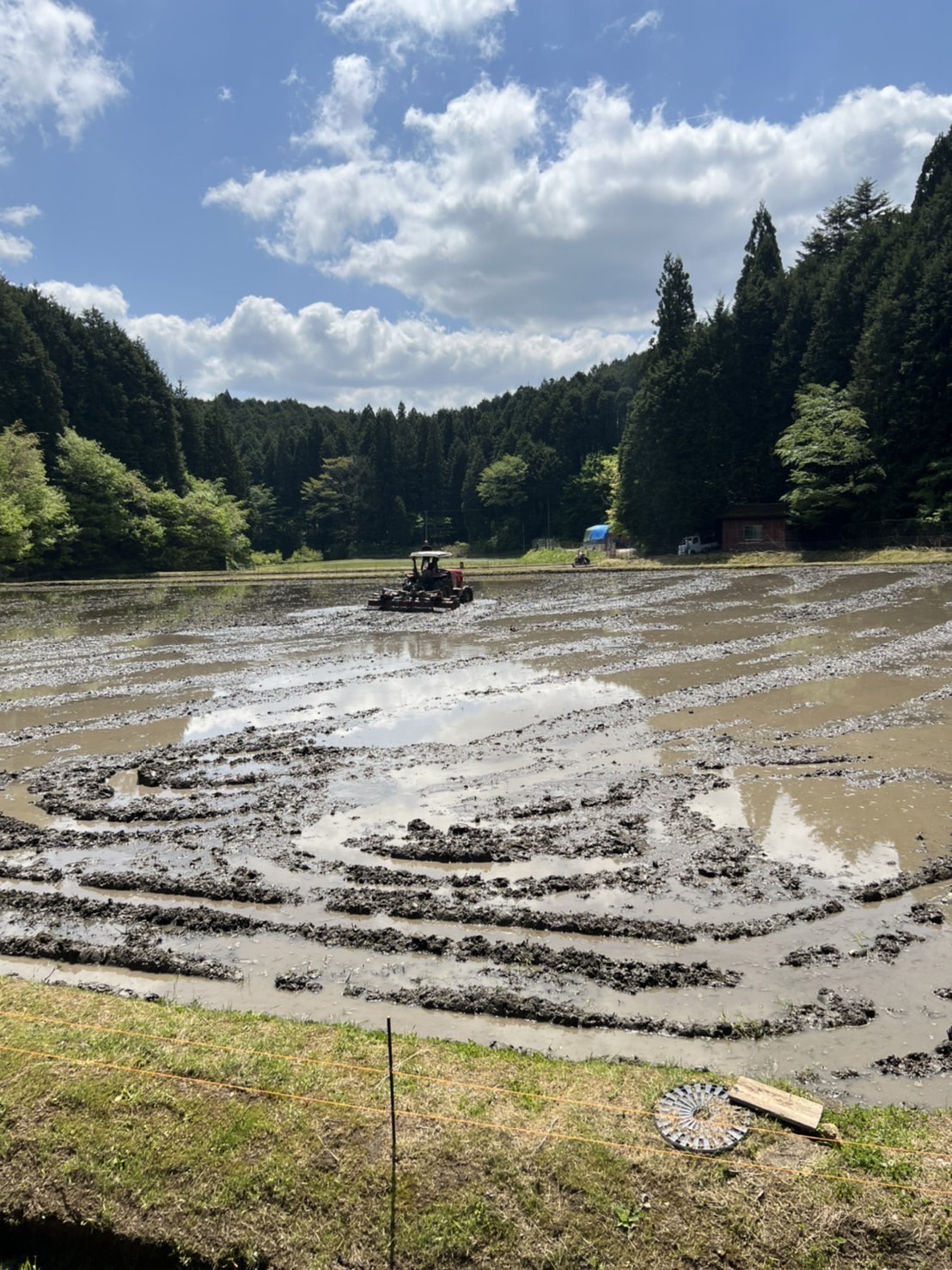 ～　田植え前の代掻きについて　～