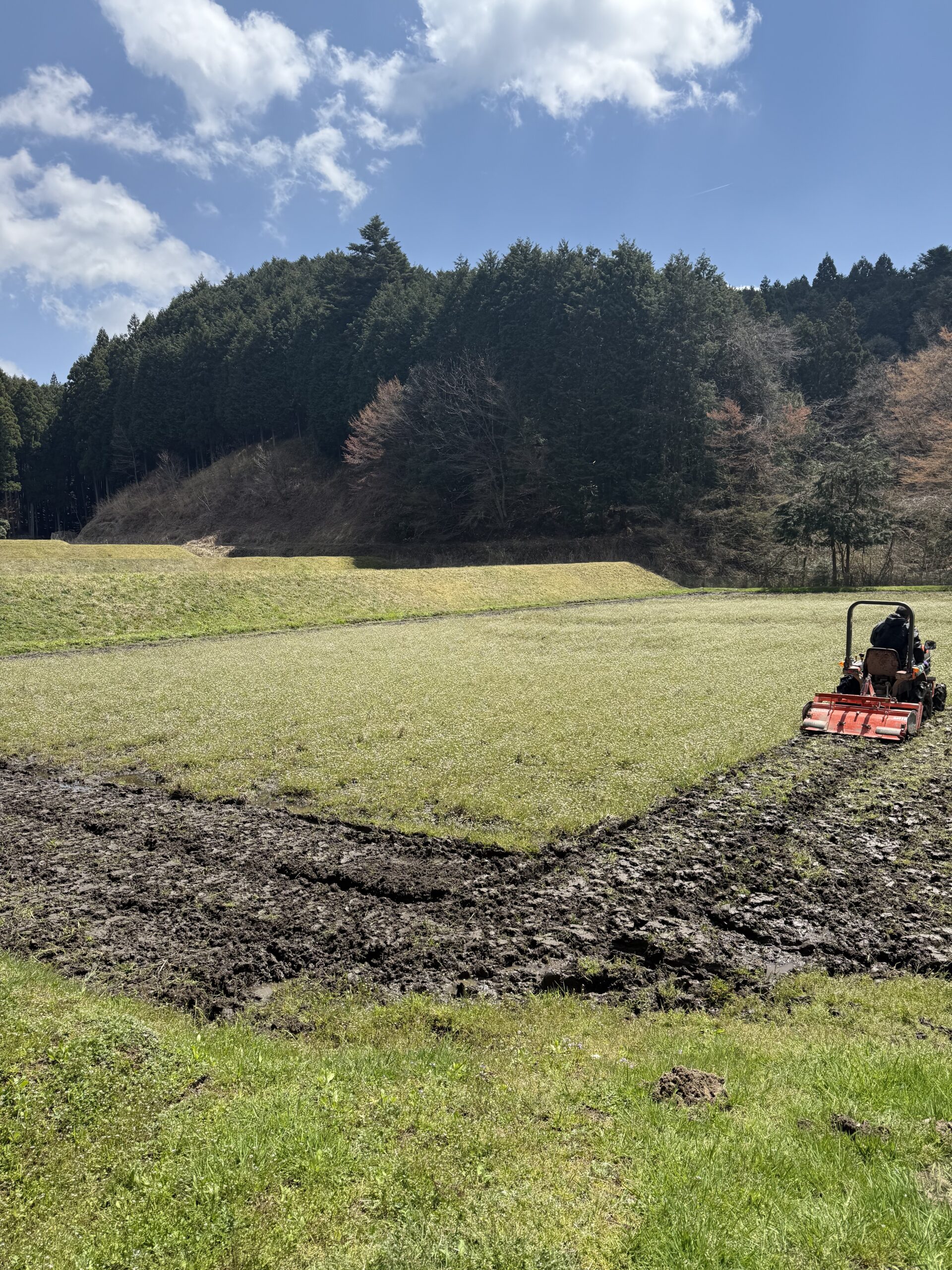 田植え準備は凄く大変!!(涙) ~翌日体がガタガタに!~